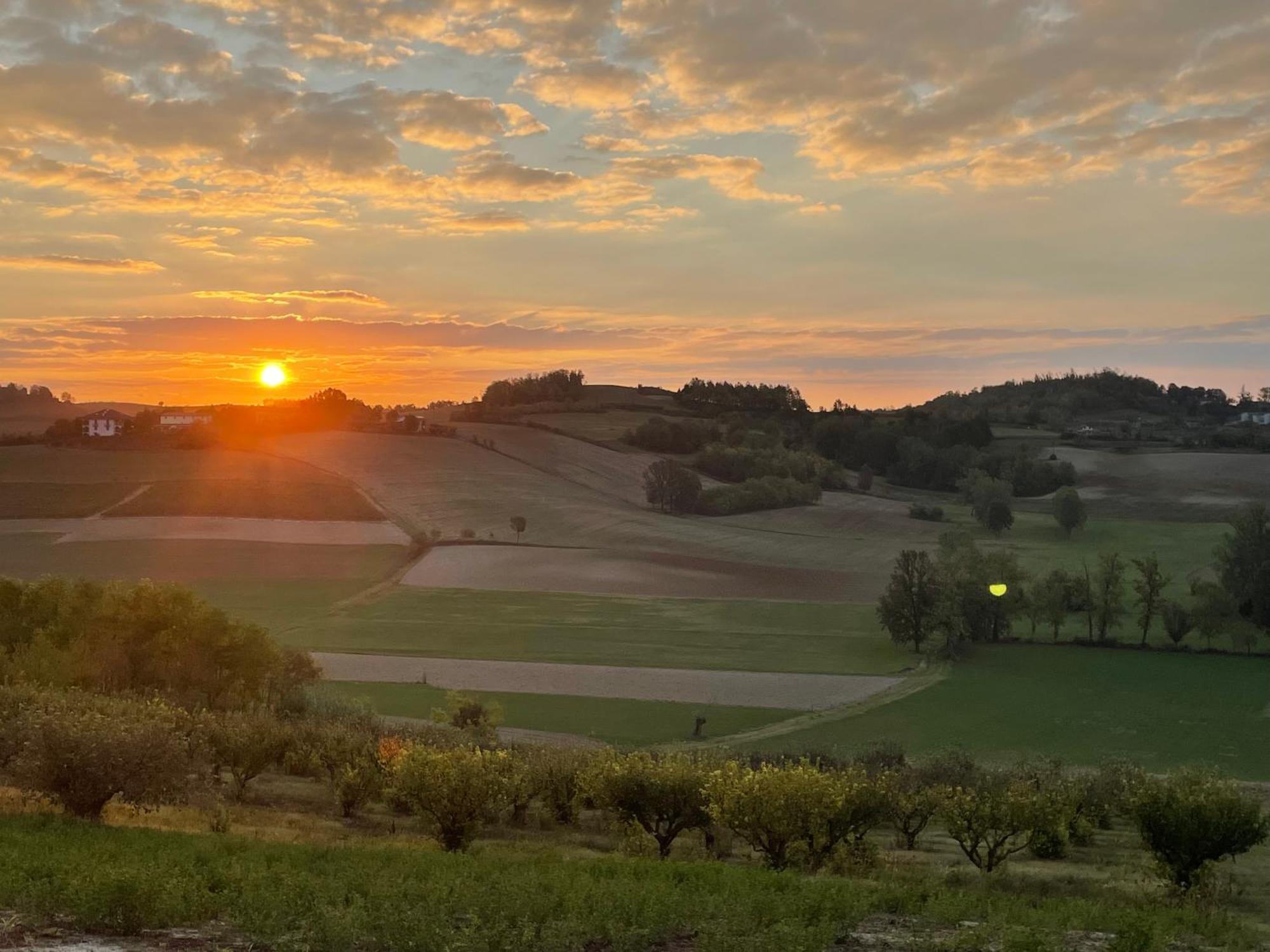 Azienda Agricola Tenuta Del Barone Calliano  ภายนอก รูปภาพ