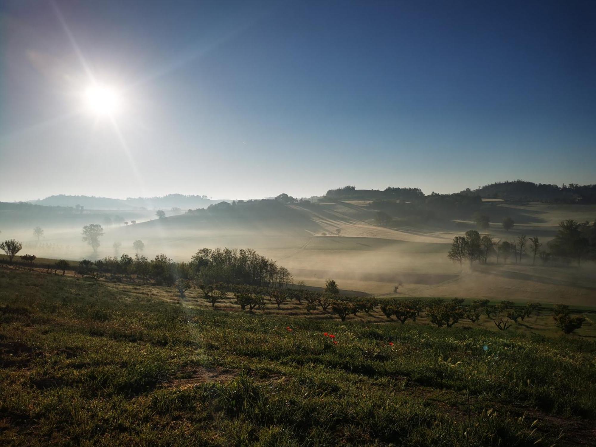 Azienda Agricola Tenuta Del Barone Calliano  ภายนอก รูปภาพ