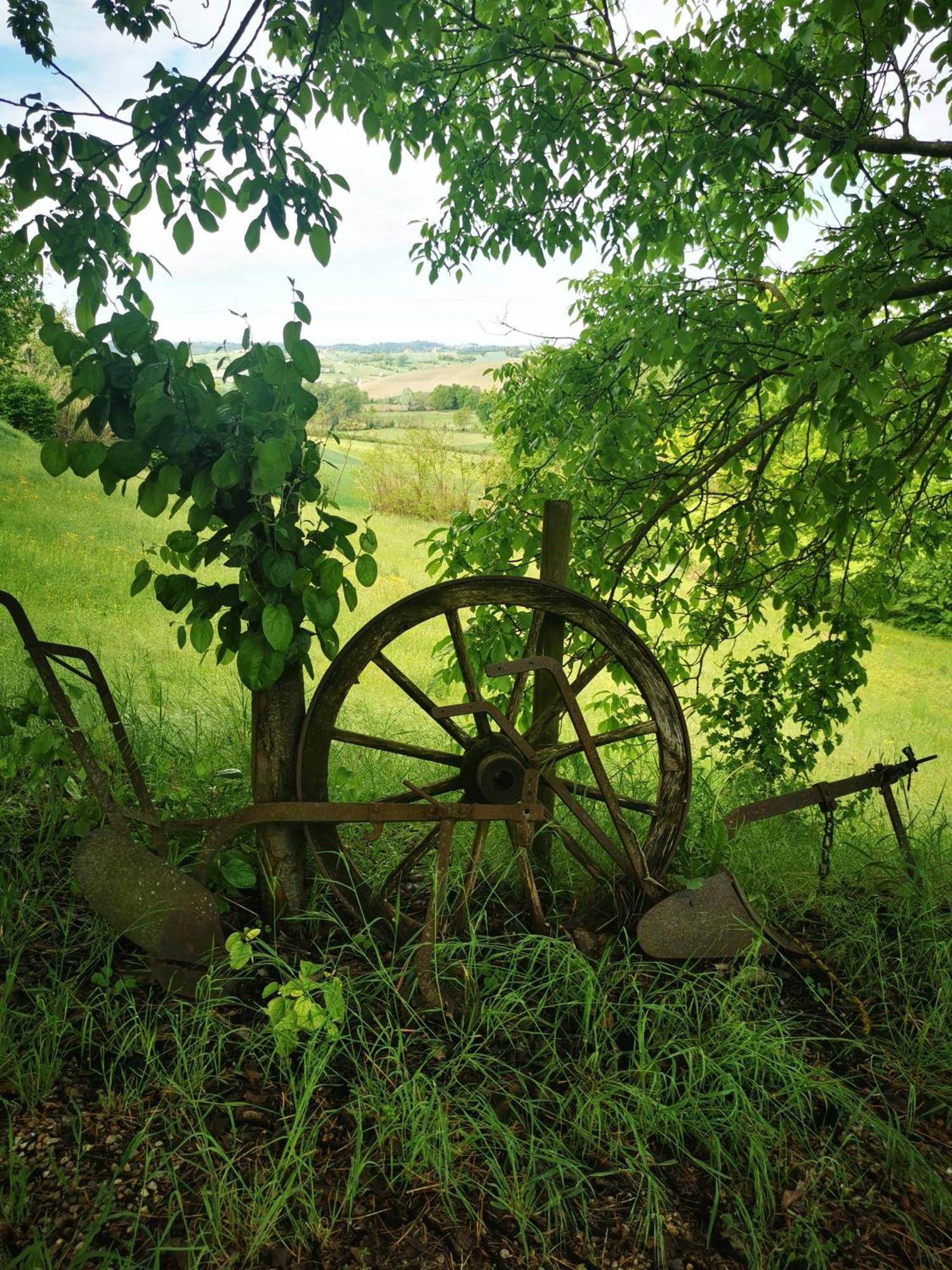 Azienda Agricola Tenuta Del Barone Calliano  ภายนอก รูปภาพ